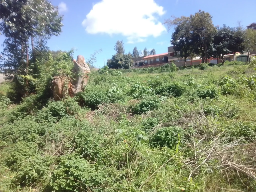 3/4-Acre plot Within Nyeri Town Outskirts - Nyeri