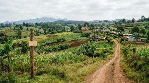 Buying Land In Nyeri