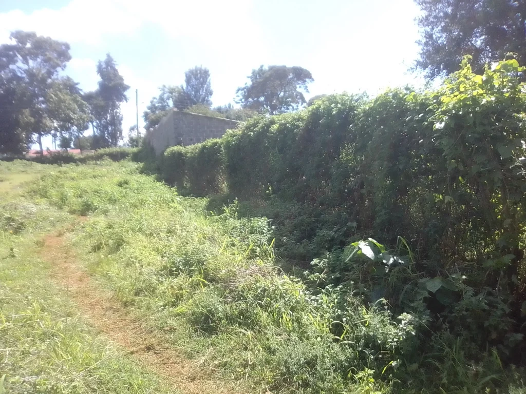 3/4-Acre plot Within Nyeri Town Outskirts - Nyeri