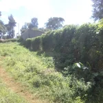 3/4-Acre plot Within Nyeri Town Outskirts - Nyeri