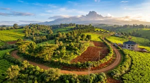 Cheap Land for Sale in Nyeri