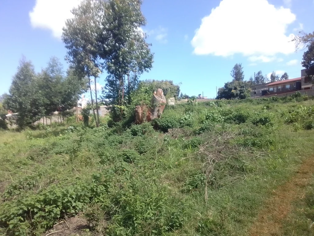 3/4-Acre plot Within Nyeri Town Outskirts - Nyeri