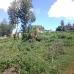 3/4-Acre plot Within Nyeri Town Outskirts - Nyeri
