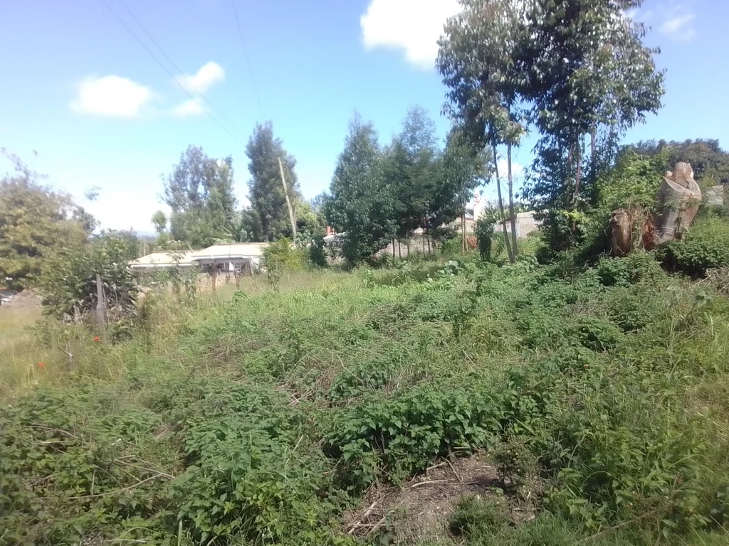 3/4-Acre plot Within Nyeri Town Outskirts - Nyeri